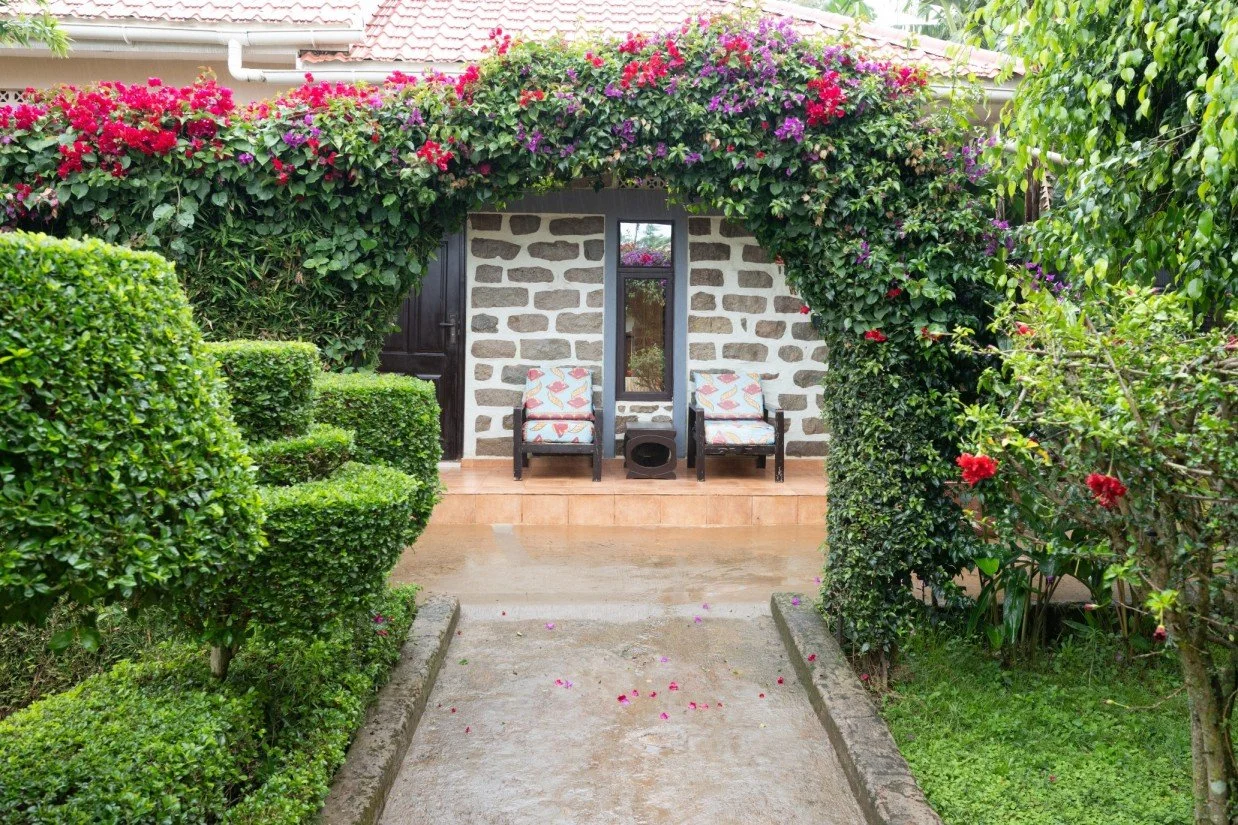 Bougainvillea flowers in front of private single room cottages at Home of Friends Guesthouse near Sipi Falls, Mount Elgon.