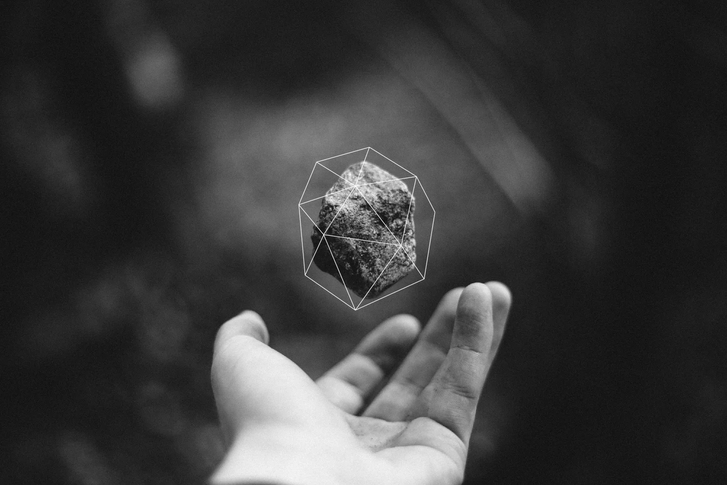 SHAPE THE WORLD(optimize).jpg