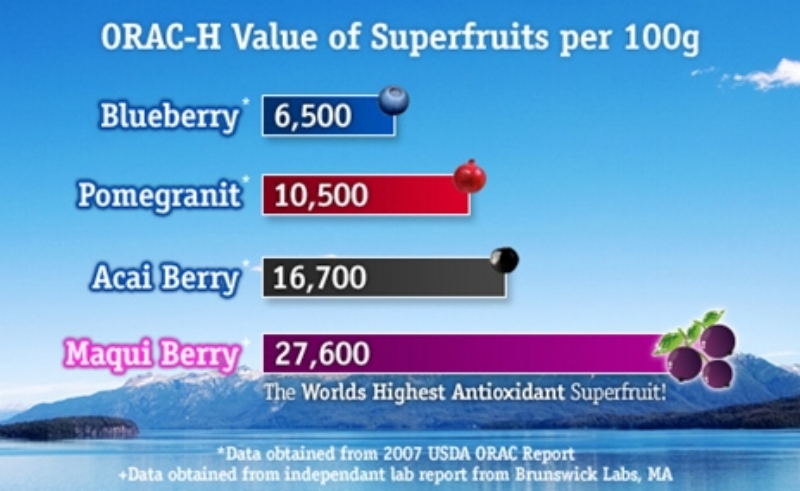 ORAC (Oxygen Radical Absorbance Capacity) is a measure of antioxidant potency.
