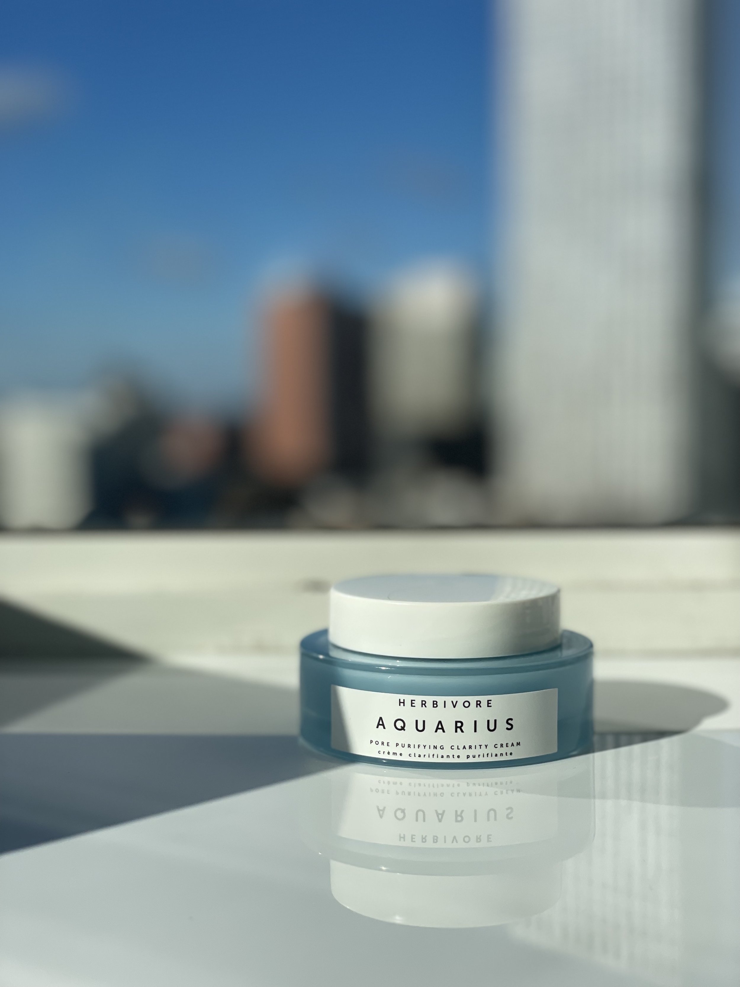 PRODUCT REVIEW: HERBIVORE AQUARIUS PORE PURIFYING BHA CREAM – BEST OILY SKIN MOISTURIZER, BEST FACE CREAM FOR OILY SKIN