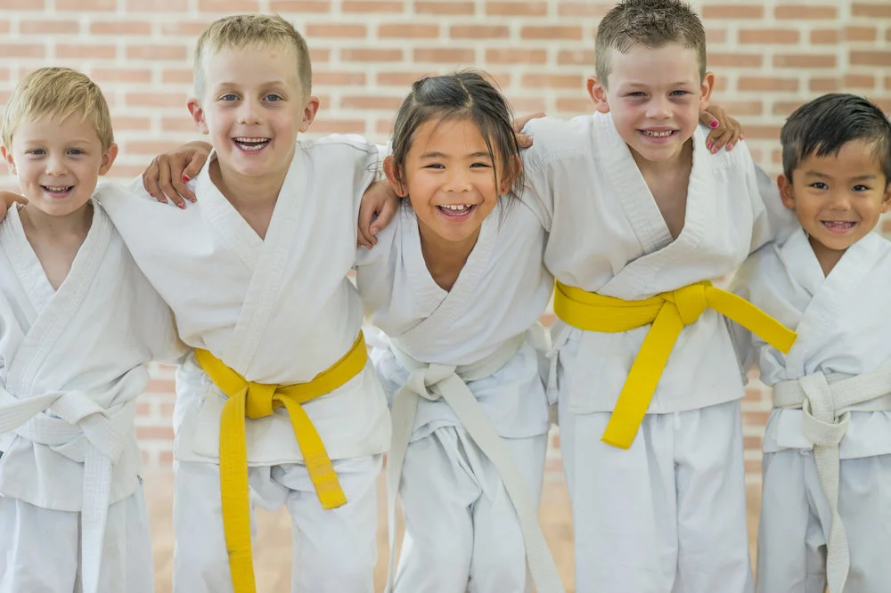 Karate classes for kids - all skill levels welcome.