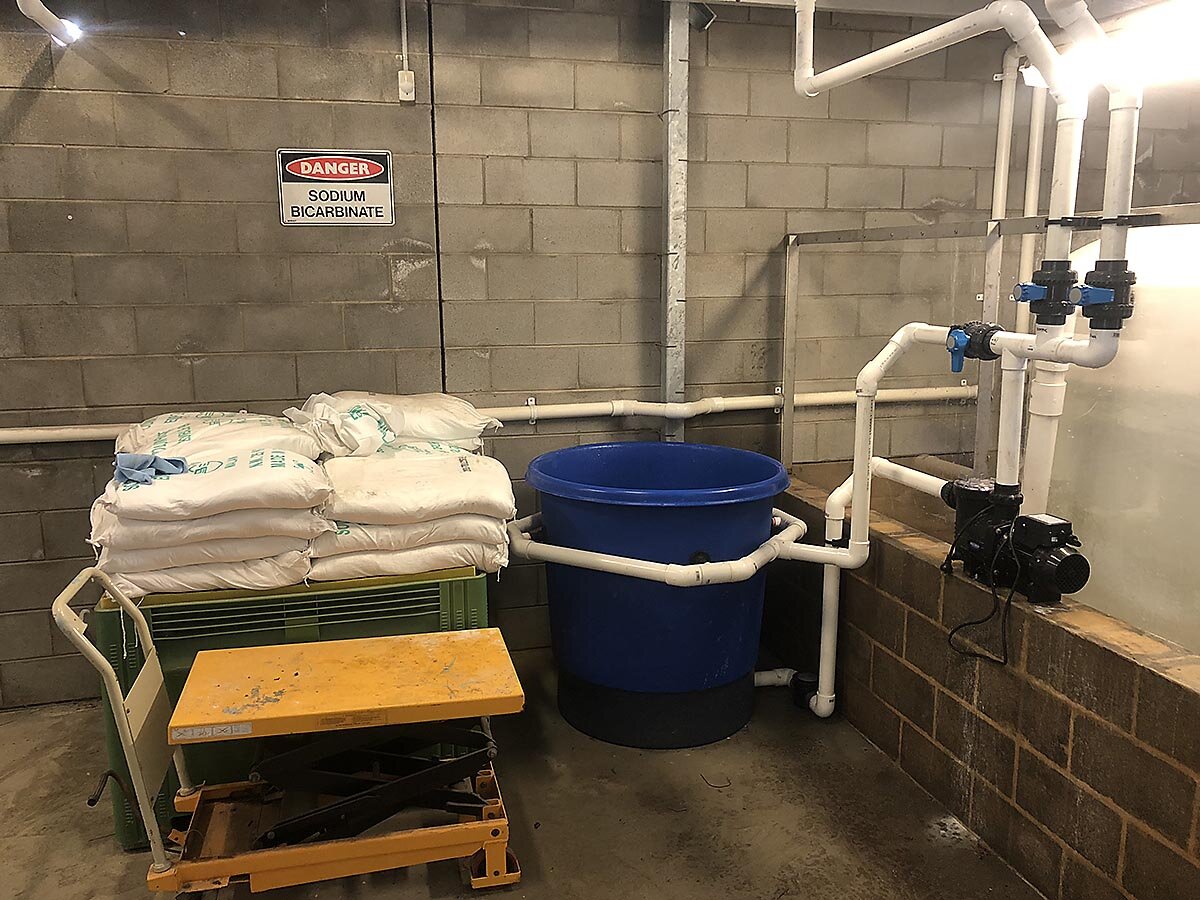  Reduces manual handling risks associated with lifting bulk bags of chemicals.  Can be either remotely or centrally located in your plant room nearby to existing dry chemical storage.  One tank can service multiple pool systems. 
