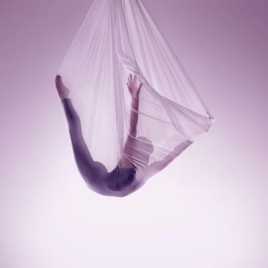 Sorona® From Dupont™ Biomaterials Introduce A Global Preferred Mill