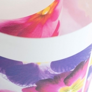 NEU KALISS - PERFECT COLOURS - TEXINTEL.jpeg