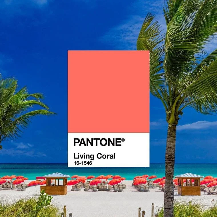 color-of-the-year-2019-4.jpg