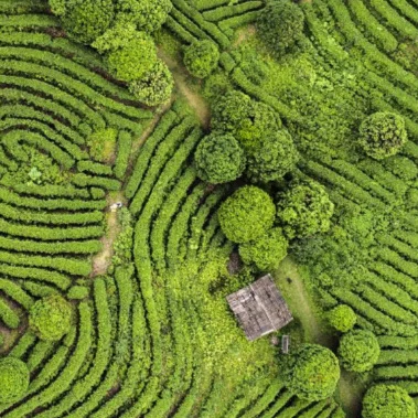 HP’s Blueprint For Sustainable Impact Commits To A More Efficient, Circular, Low-Carbon Economy