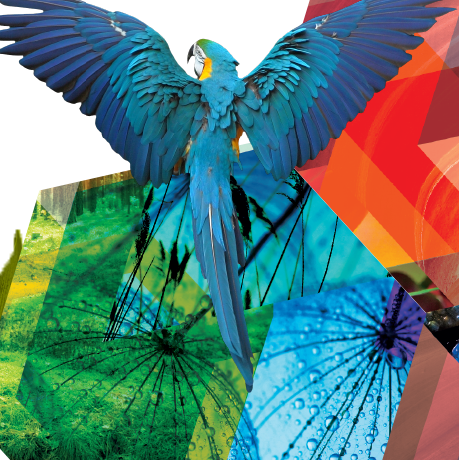 Image Courtesy of Kornit Digital