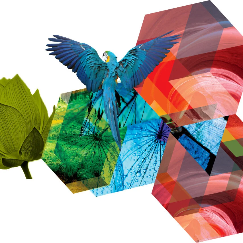 Teetaly Implements Kornit Digital Direct-To-Garment Technology For Sustainable, Versatile Apparel Decoration