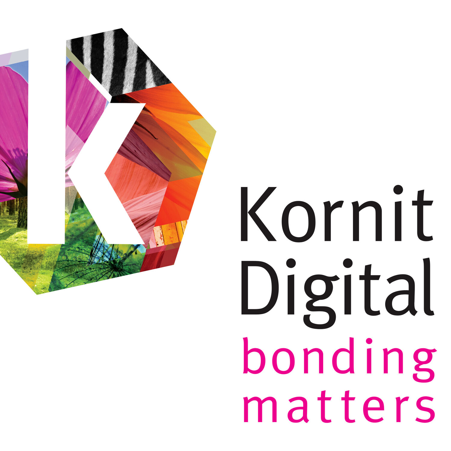 Kornit Digital Announces Date For Fourth Quarter And Full Year 2020  Earnings Results — TEXINTEL