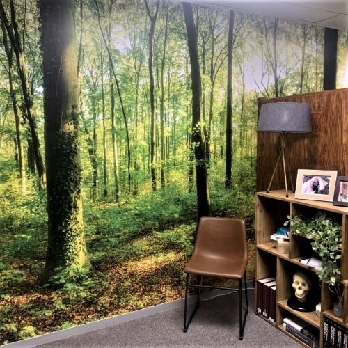 Digitally Printed Drytac ReTac Smooth 75 From Midcomp Printed On An HP Latex 335 Creates Eye-Catching Interior Wall Graphics In South African Office