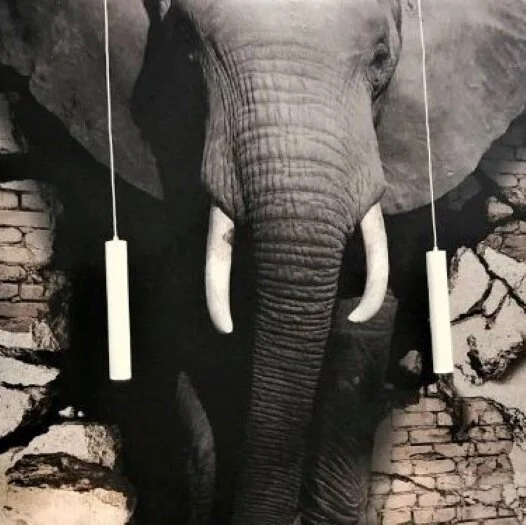 PONGS® Digitally Printed AKUSTICO® Eye Catching Graphic Brings The Elephant Into The Room At Atlas P Koussouris Of Athens