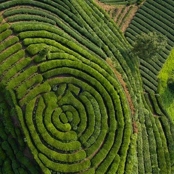  HP Webinar To Delve Into The Six Key Principles On Winning With Sustainability.