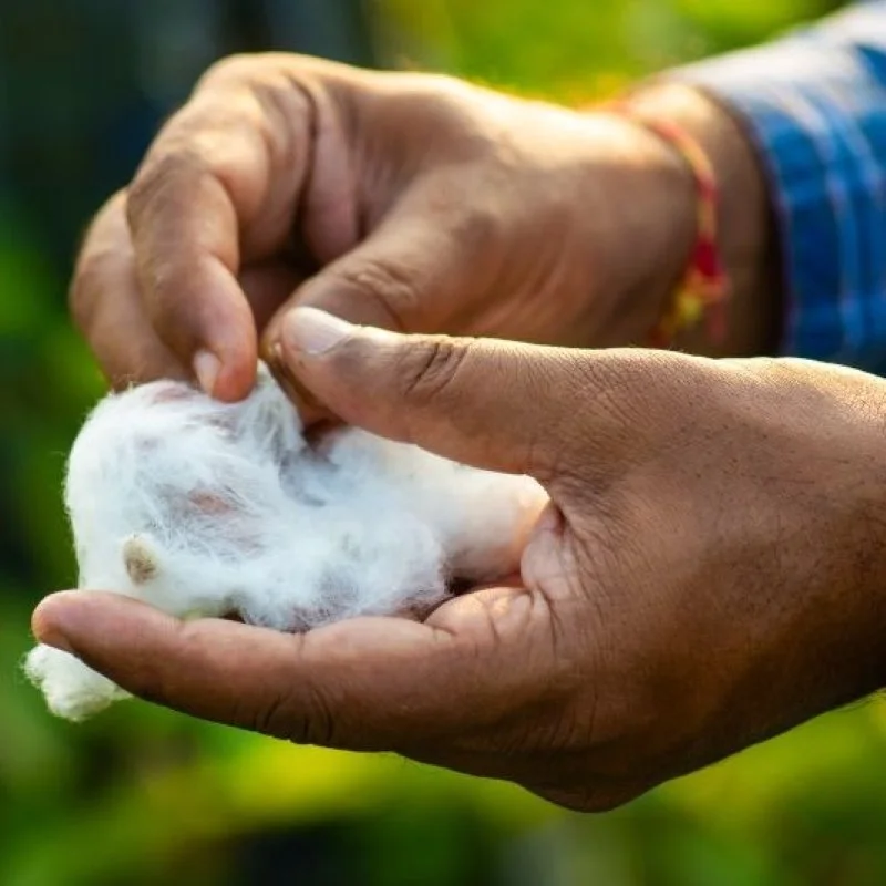 Better Cotton Initiative Calls On EU To Champion Natural Fibres In Circular Economy Act