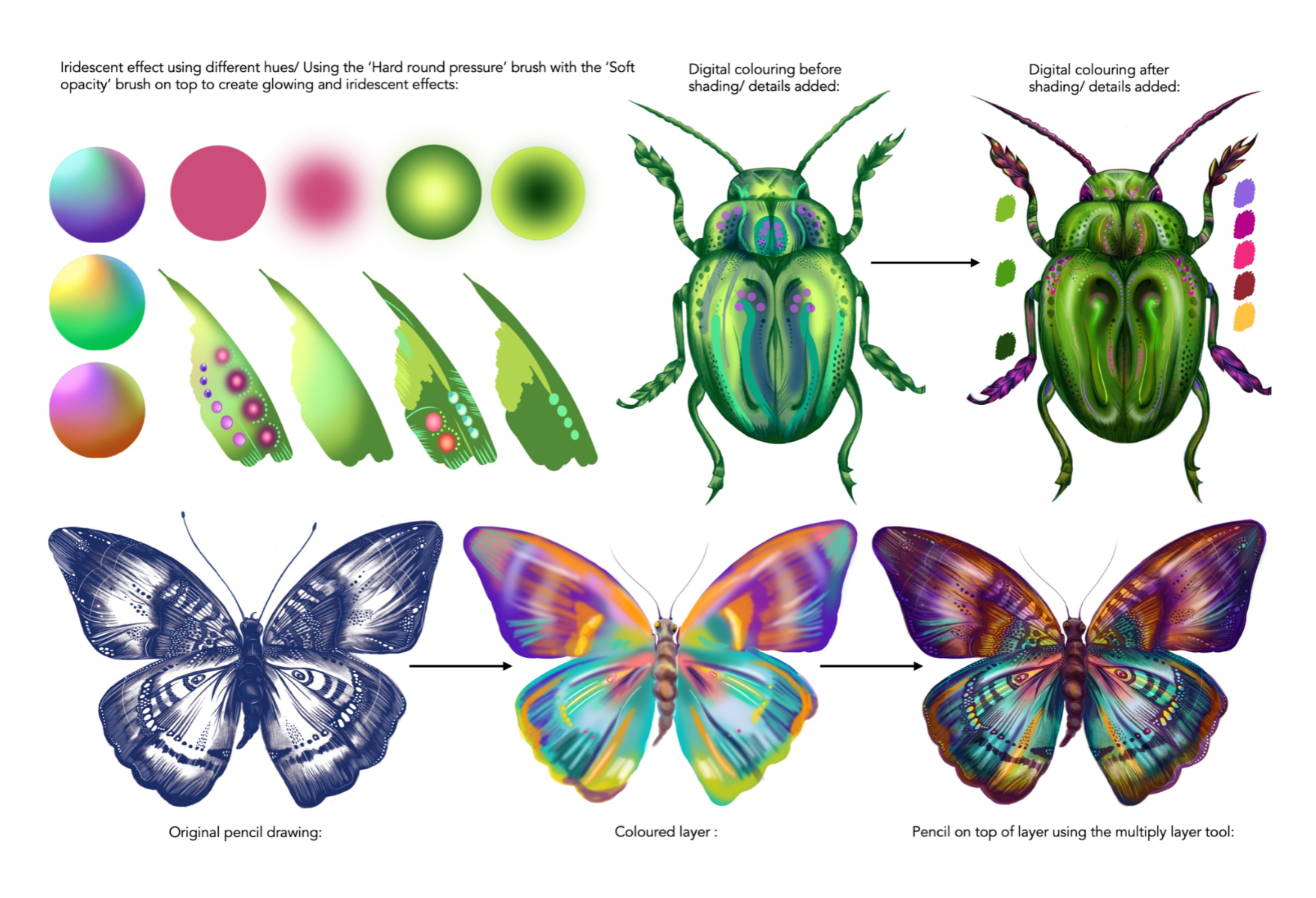 portfolio-image68b2a86c1ea7b.png