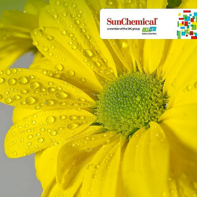 Sun Chemical Champions Regulatory Compliance and Safety with Ultra-Pure Paliotol Yellow 138 Pigment