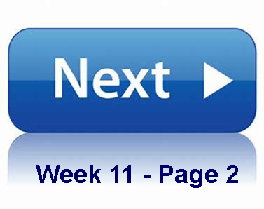 NextPage_Week-11_Page-2.jpg