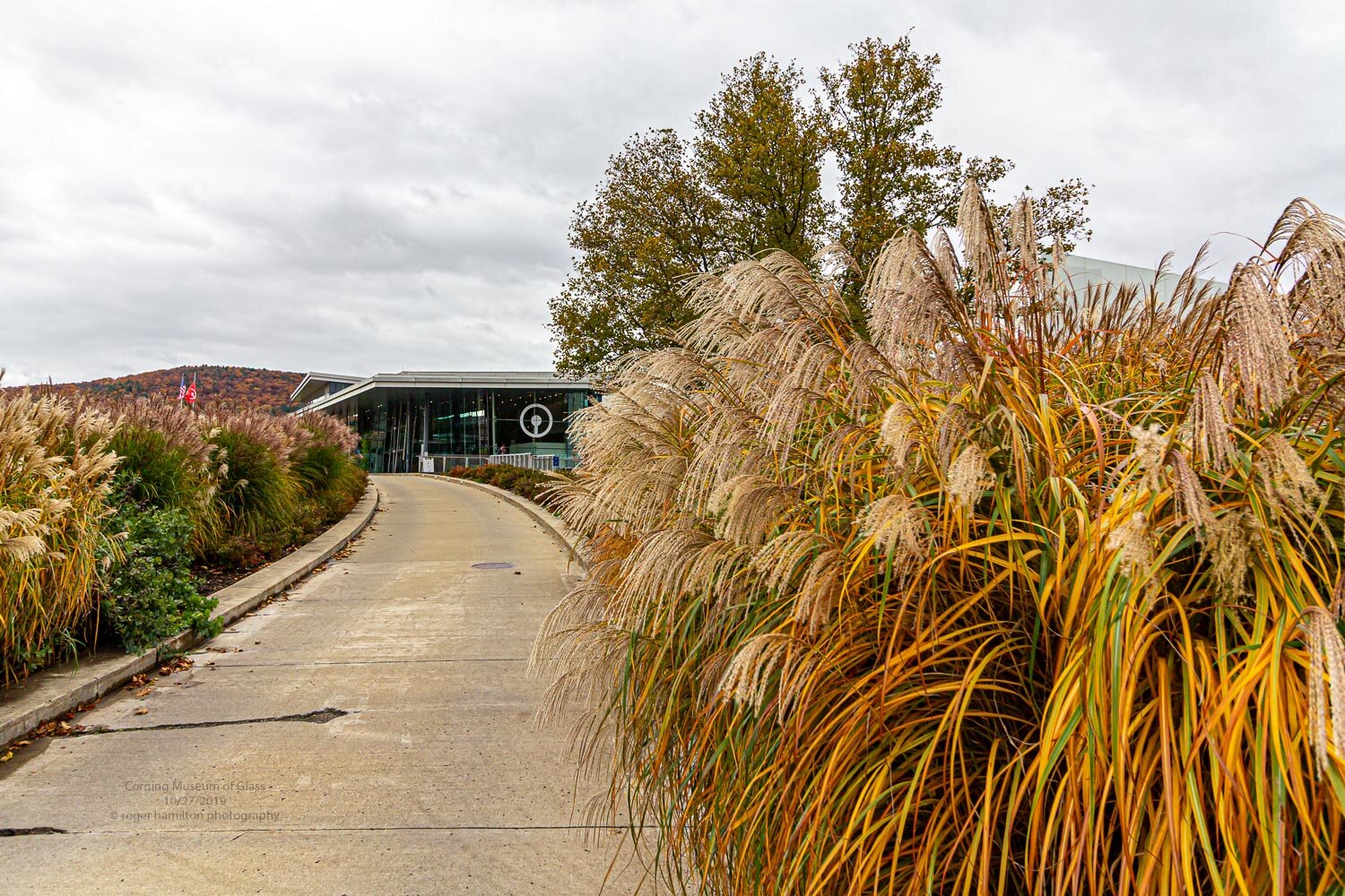 Glass and Grass 