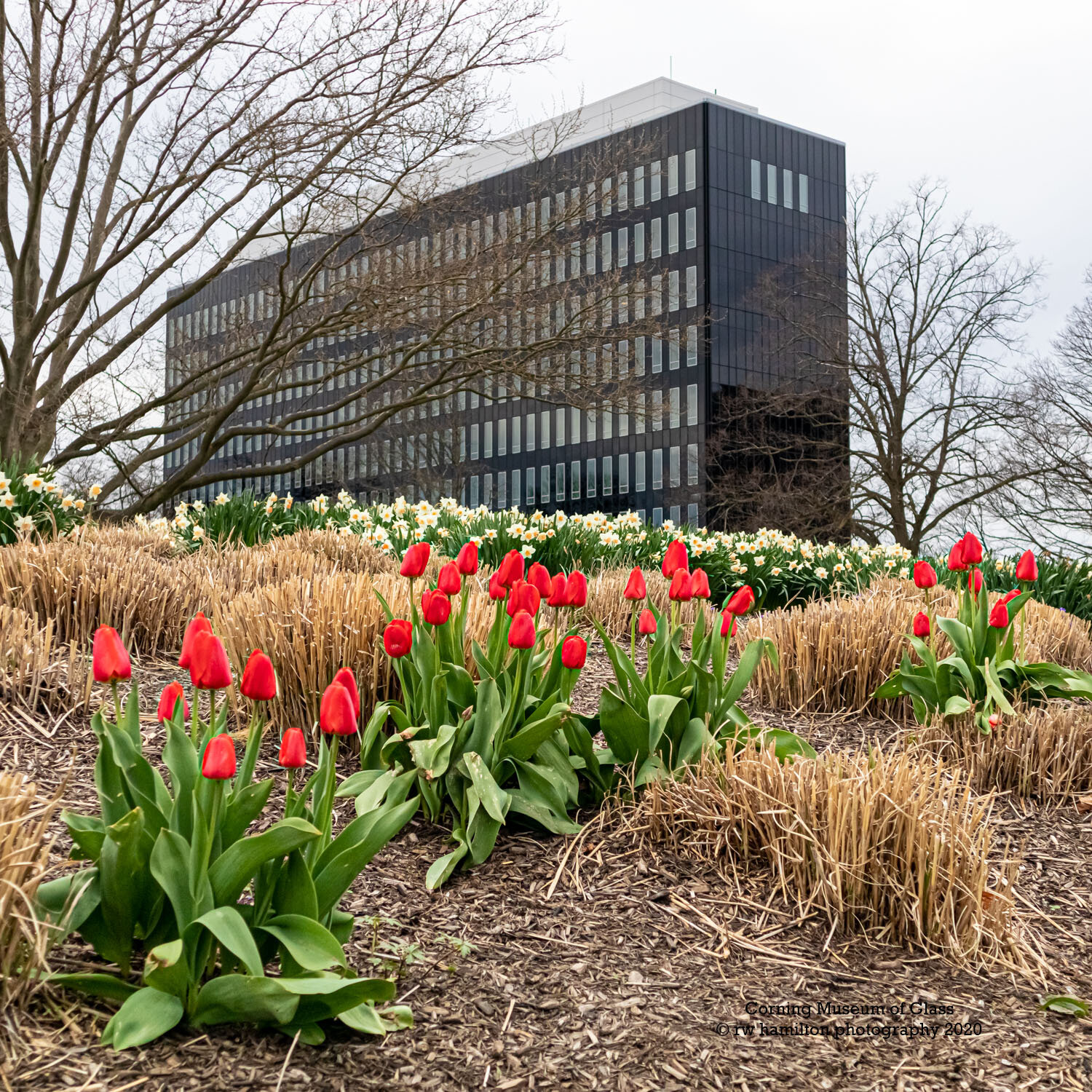 Spring flowers and the newly renovated exterior