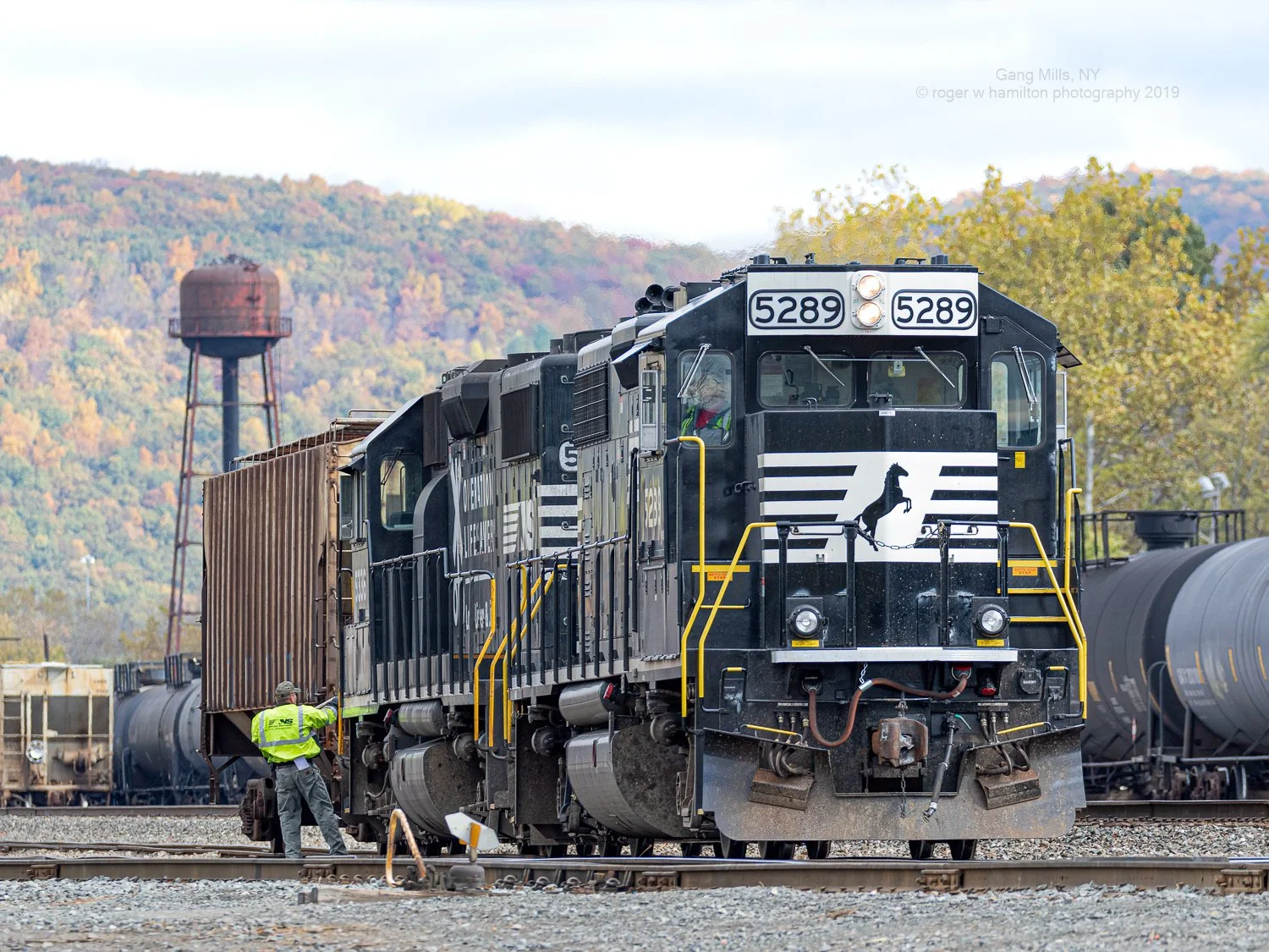 RWH_4200-Edit.jpg