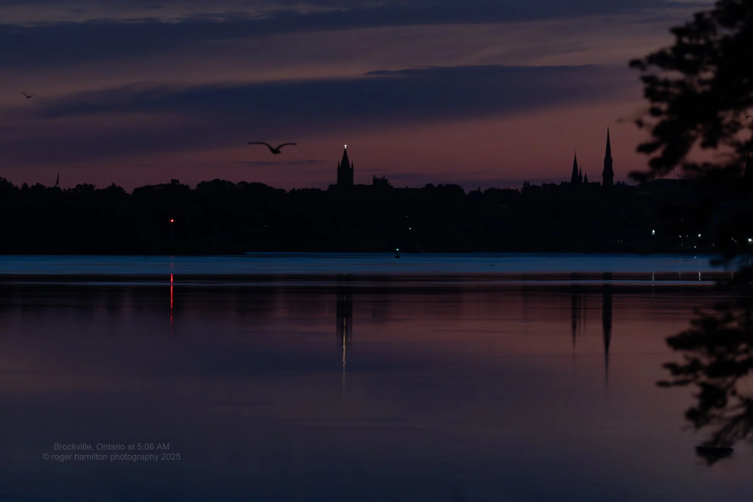 Before Dawn