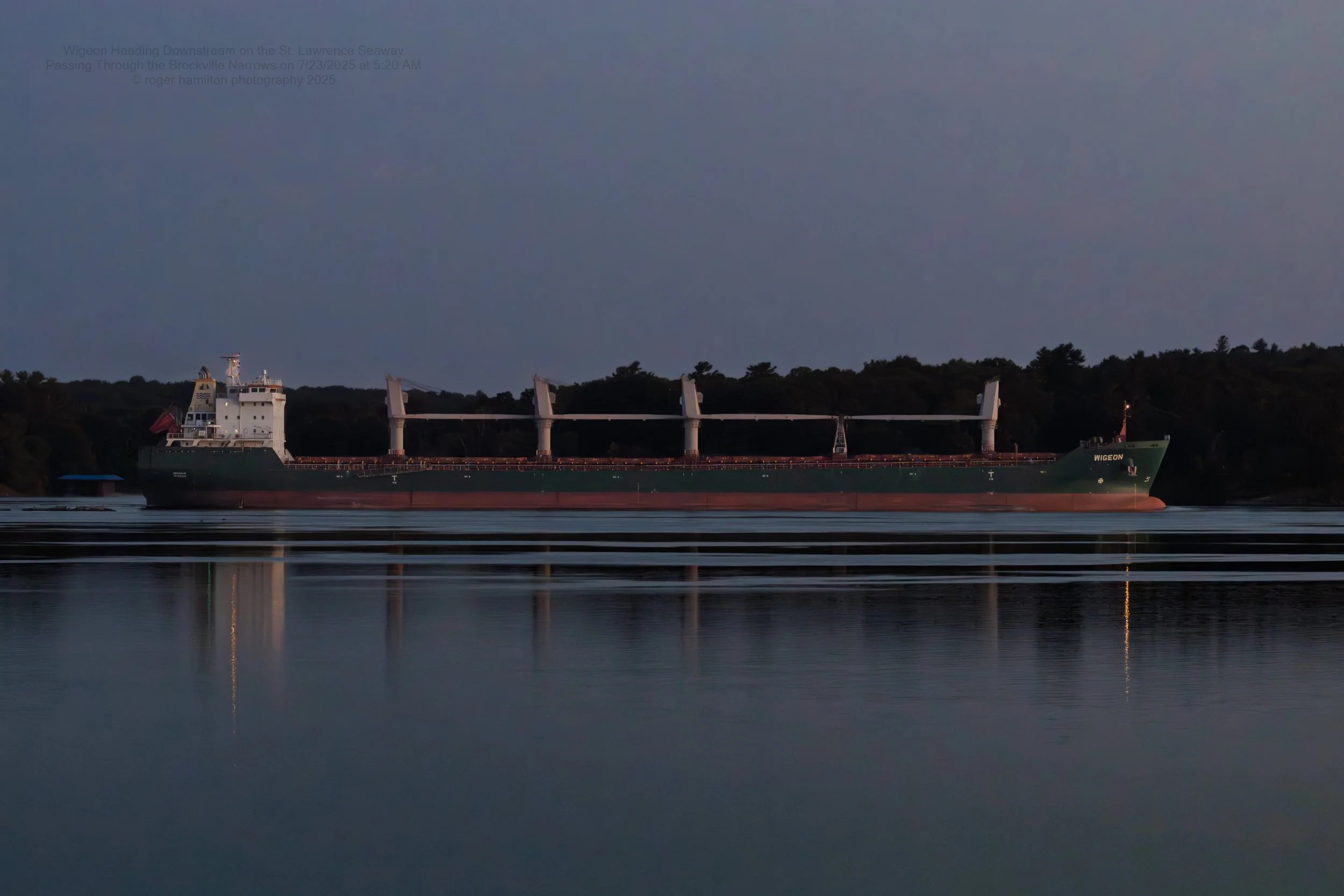 The Wigeon Before Sunrise