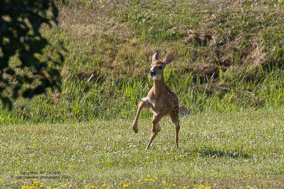 Running for the pure joy of it