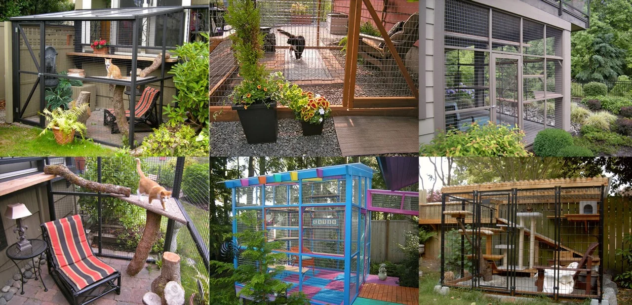 keep cat in yard collar