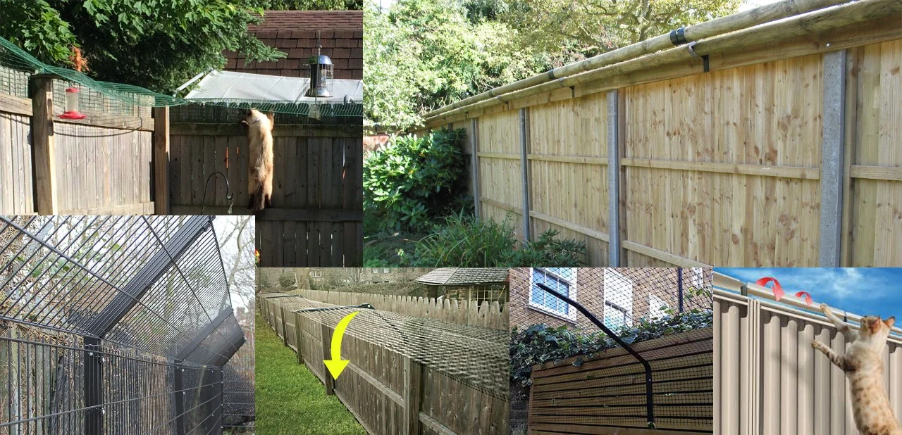 cat proof yard