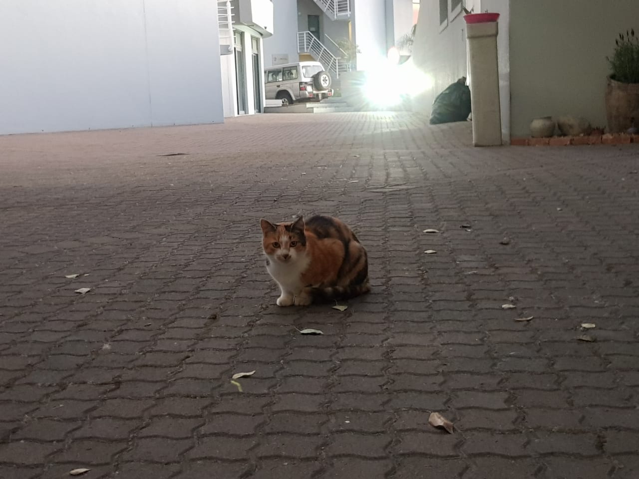 WhatsApp Image 2019-05-18 at 18.59.17.jpeg