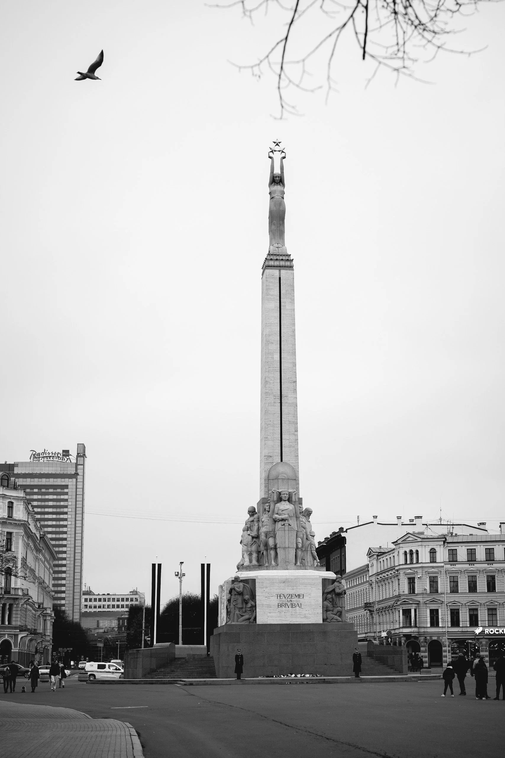 DSC02035.jpg