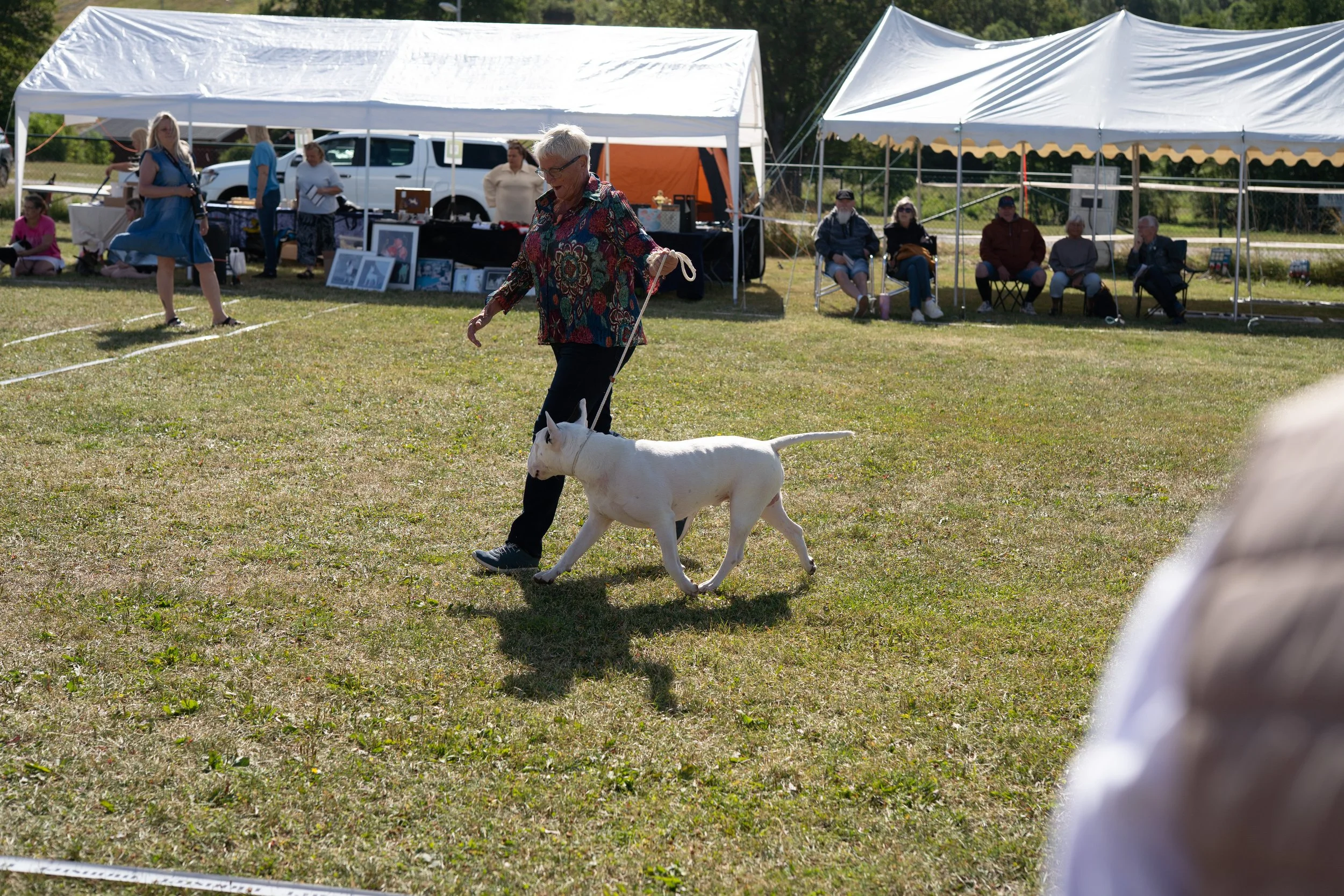 DSC02567.jpg