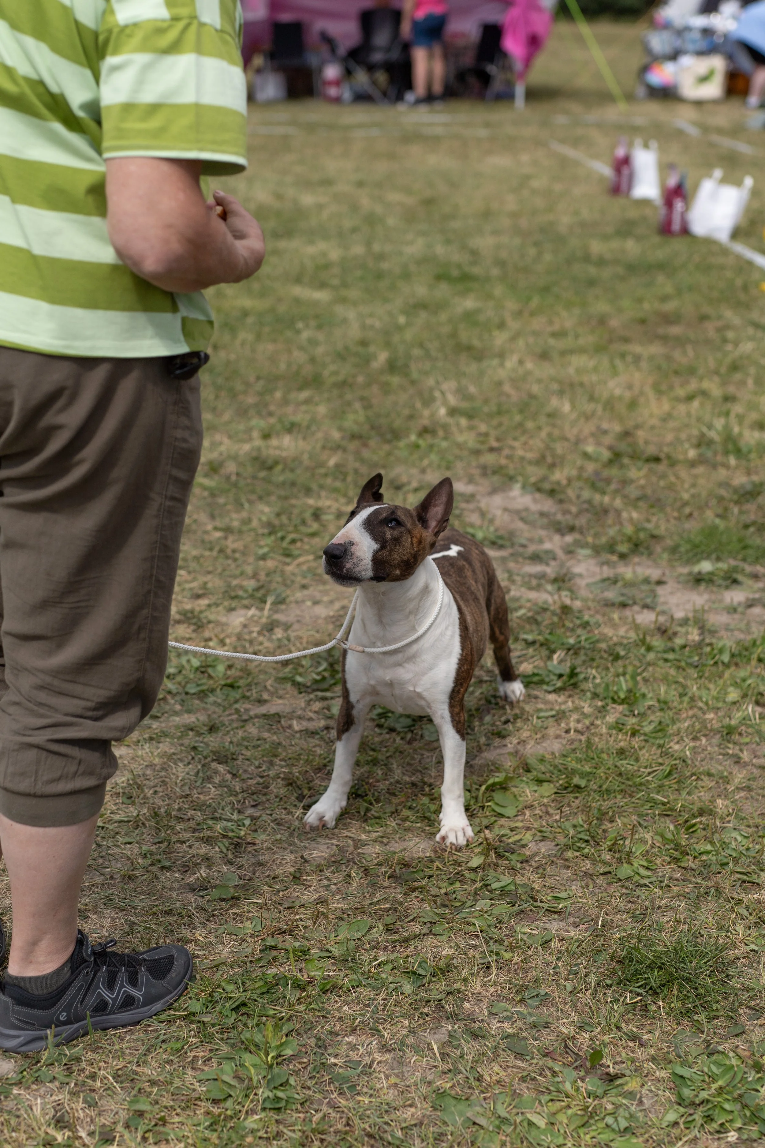 DSC02876.jpg