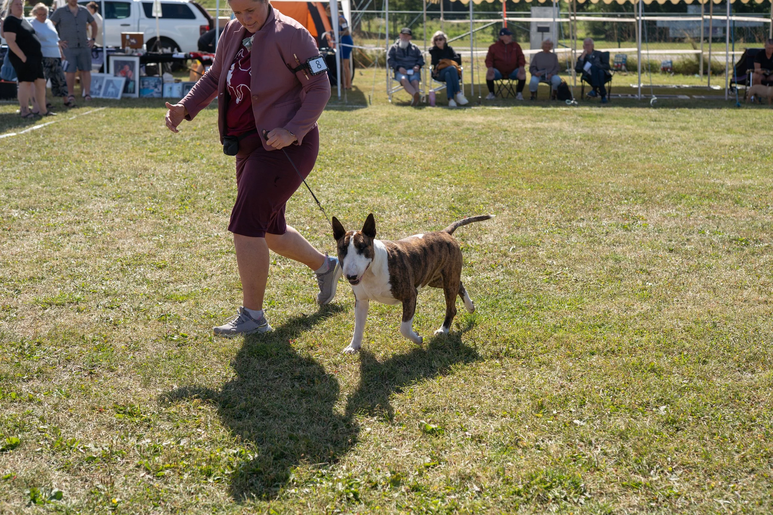DSC02577.jpg