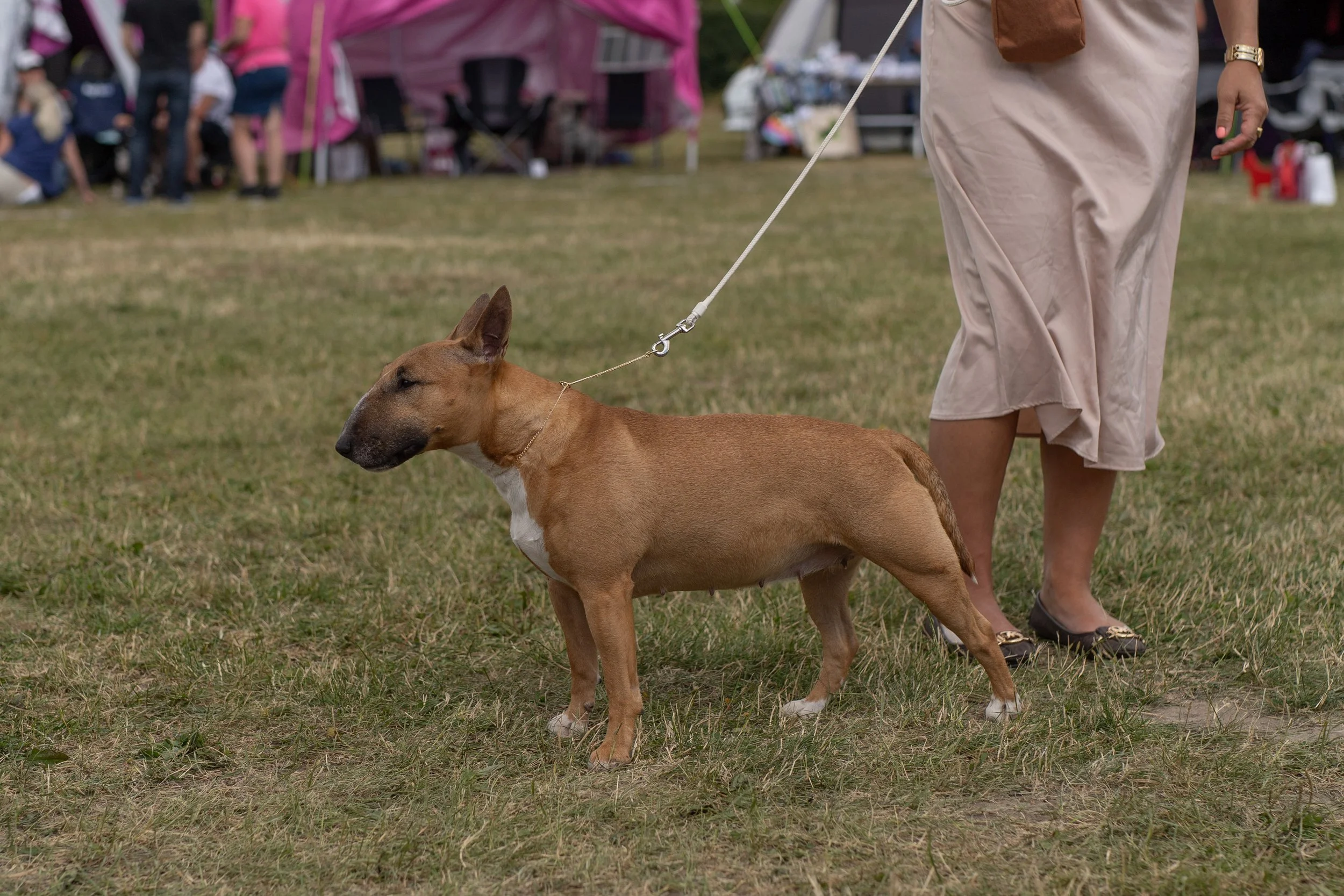 DSC02889.jpg