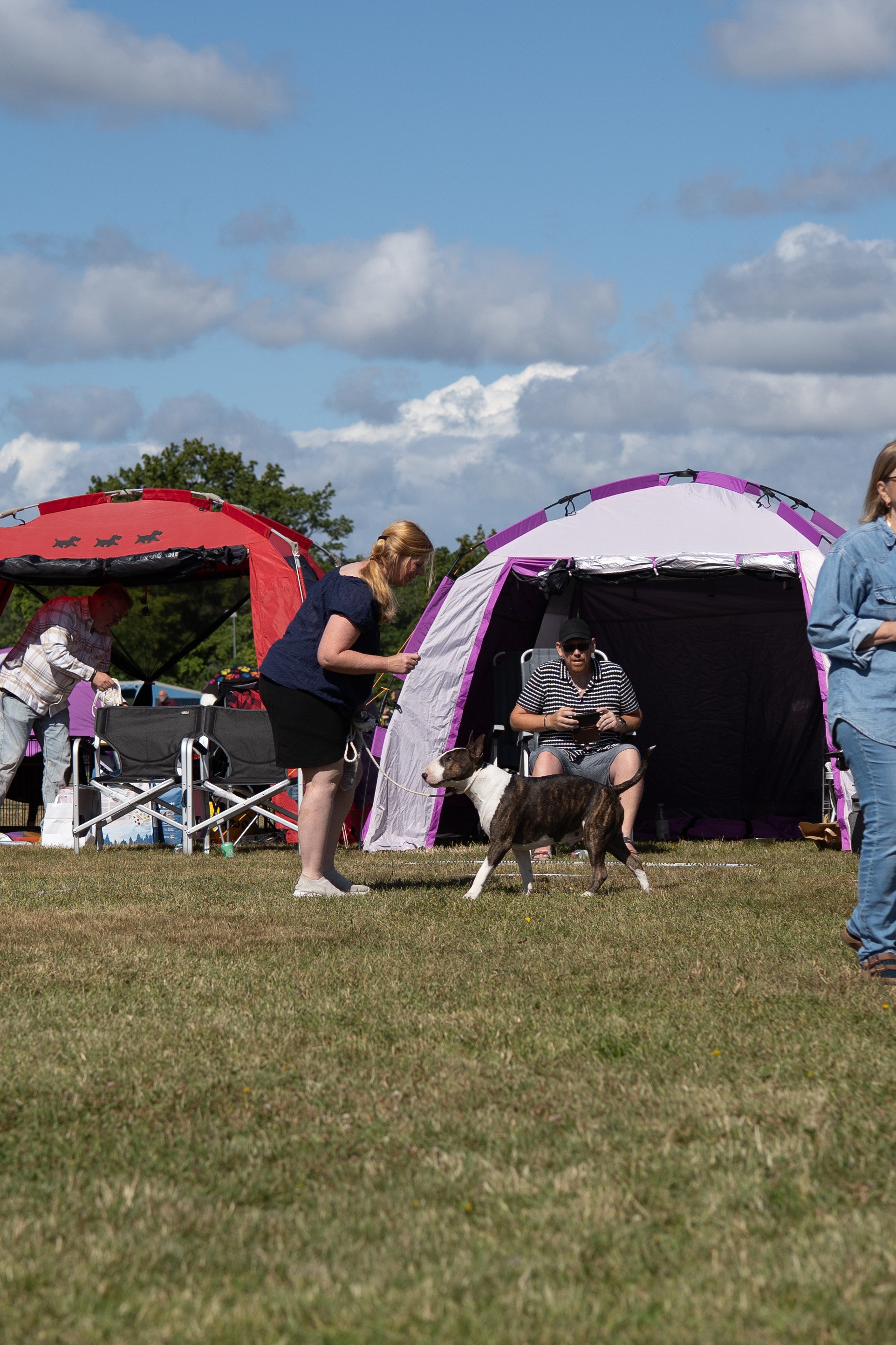 DSC02678.jpg