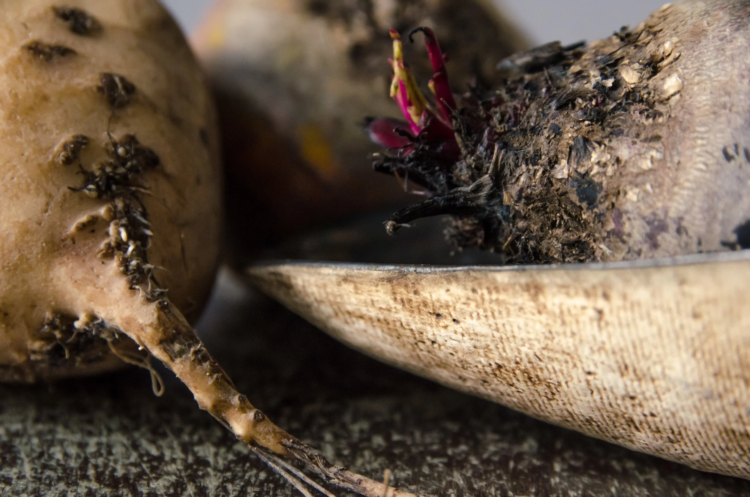 PaulaP-Crafts_Root#35