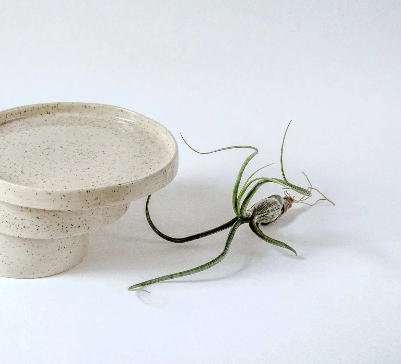 PaulaP-Crafts_Set#1