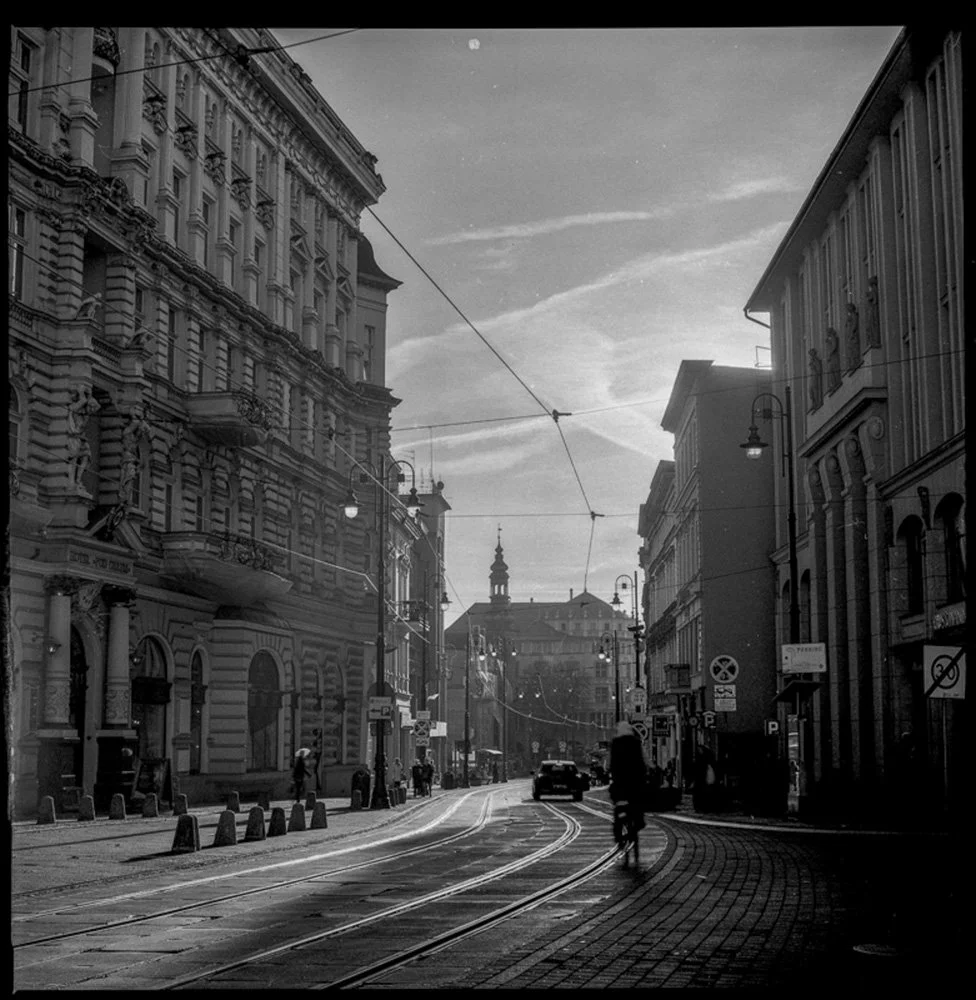 skan_050_1.jpg