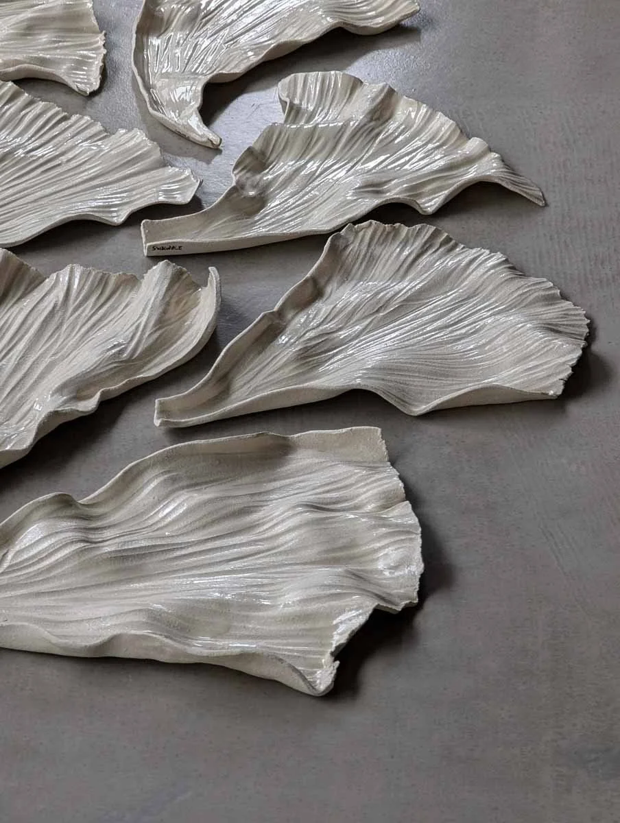 Huge Leaf Plate
