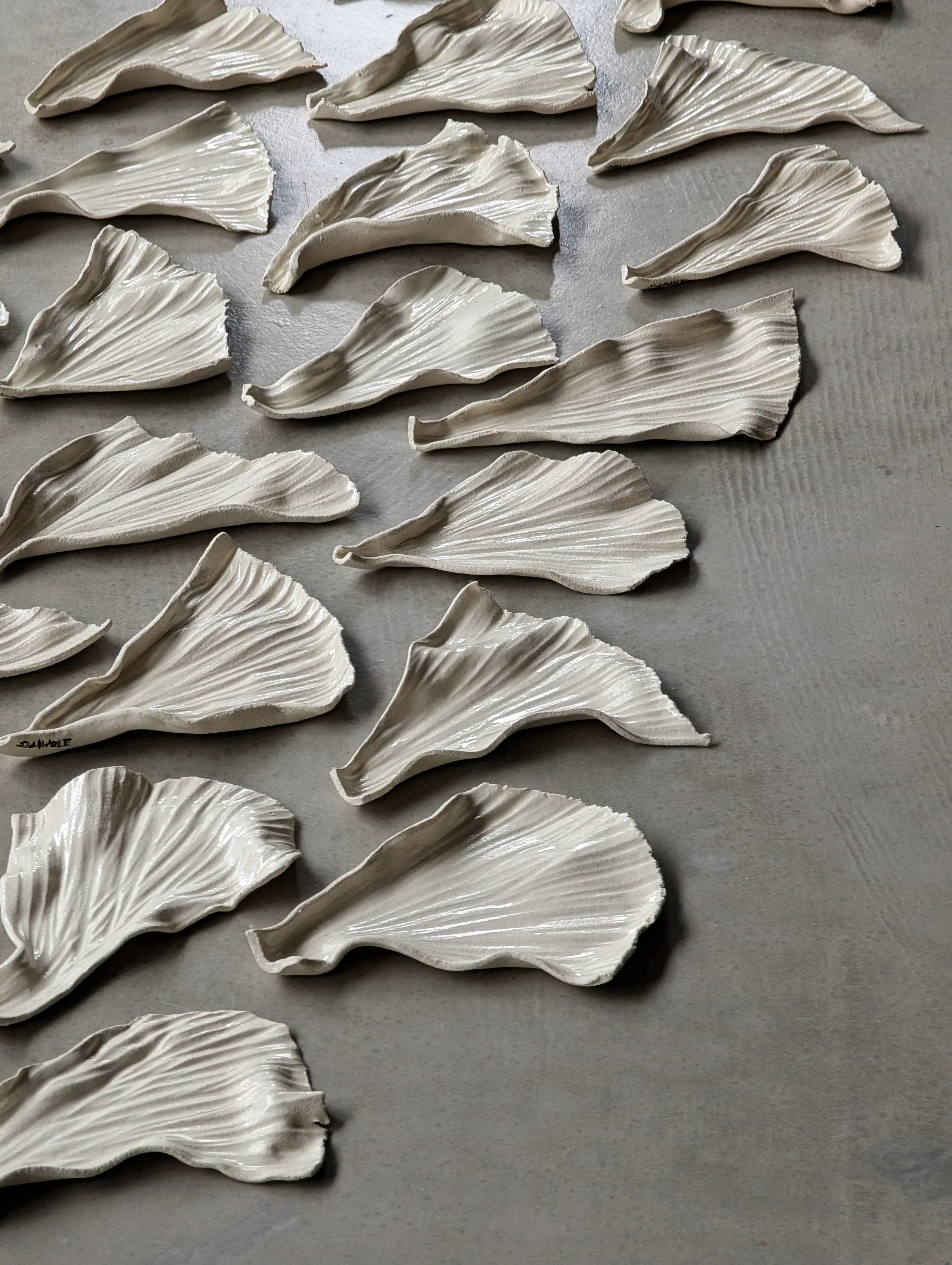 Leaf Plate