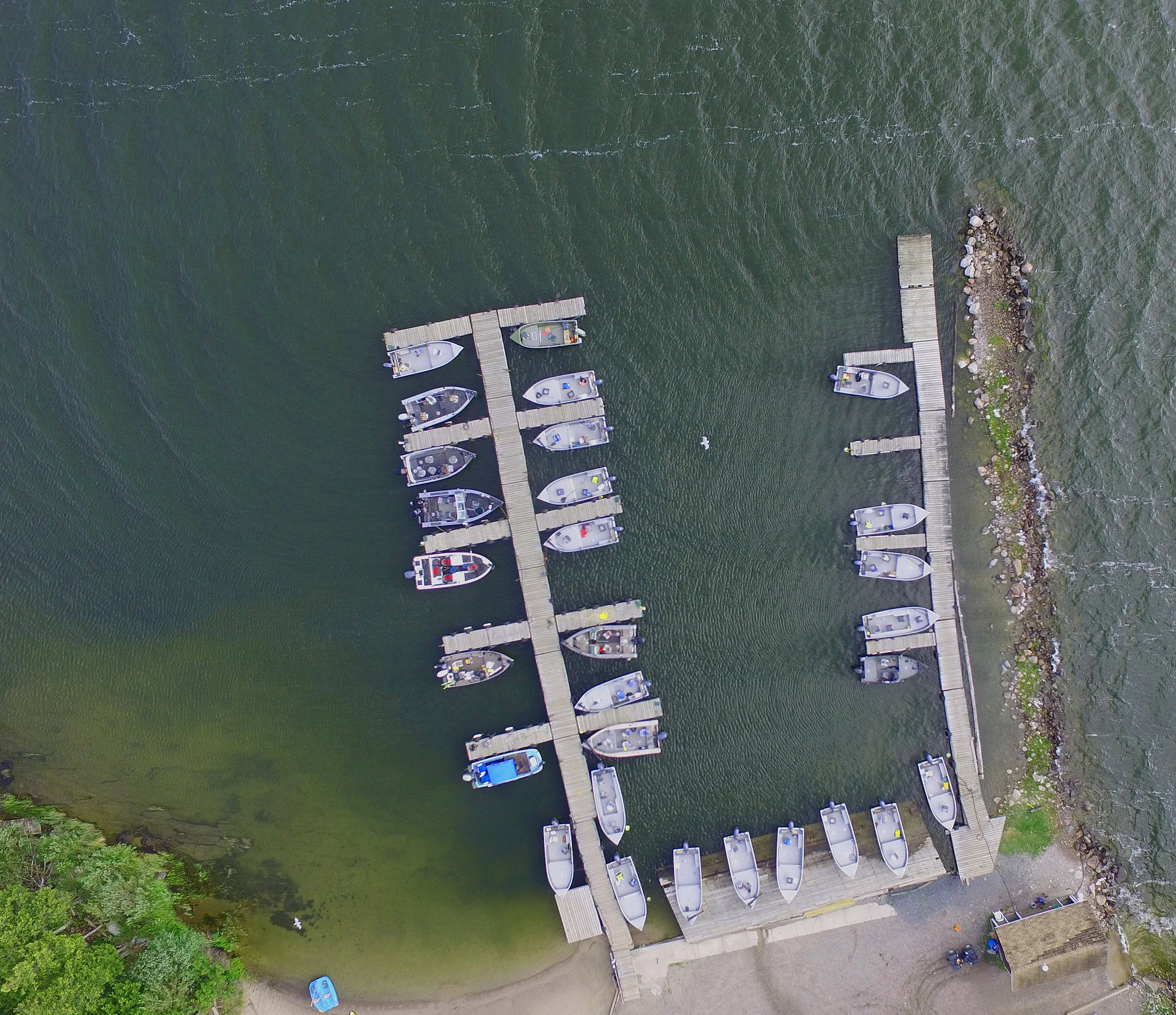 DJI_0012.jpg