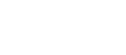 Salix Games.png