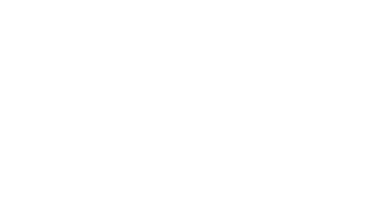 Sue Terry Voices - Wide - White - Logo.png