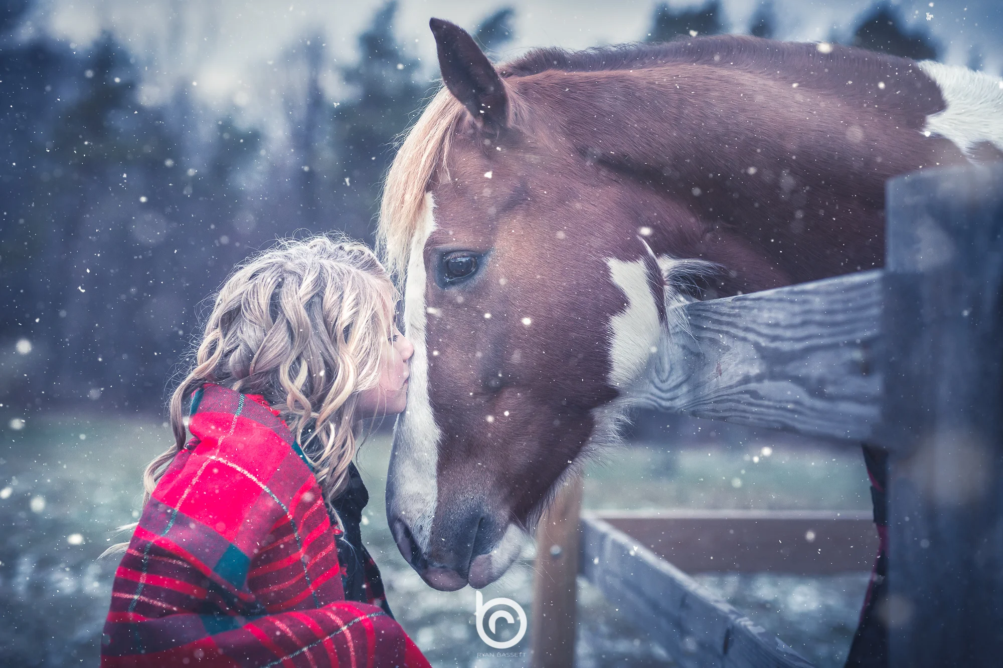 horsekiss.jpg