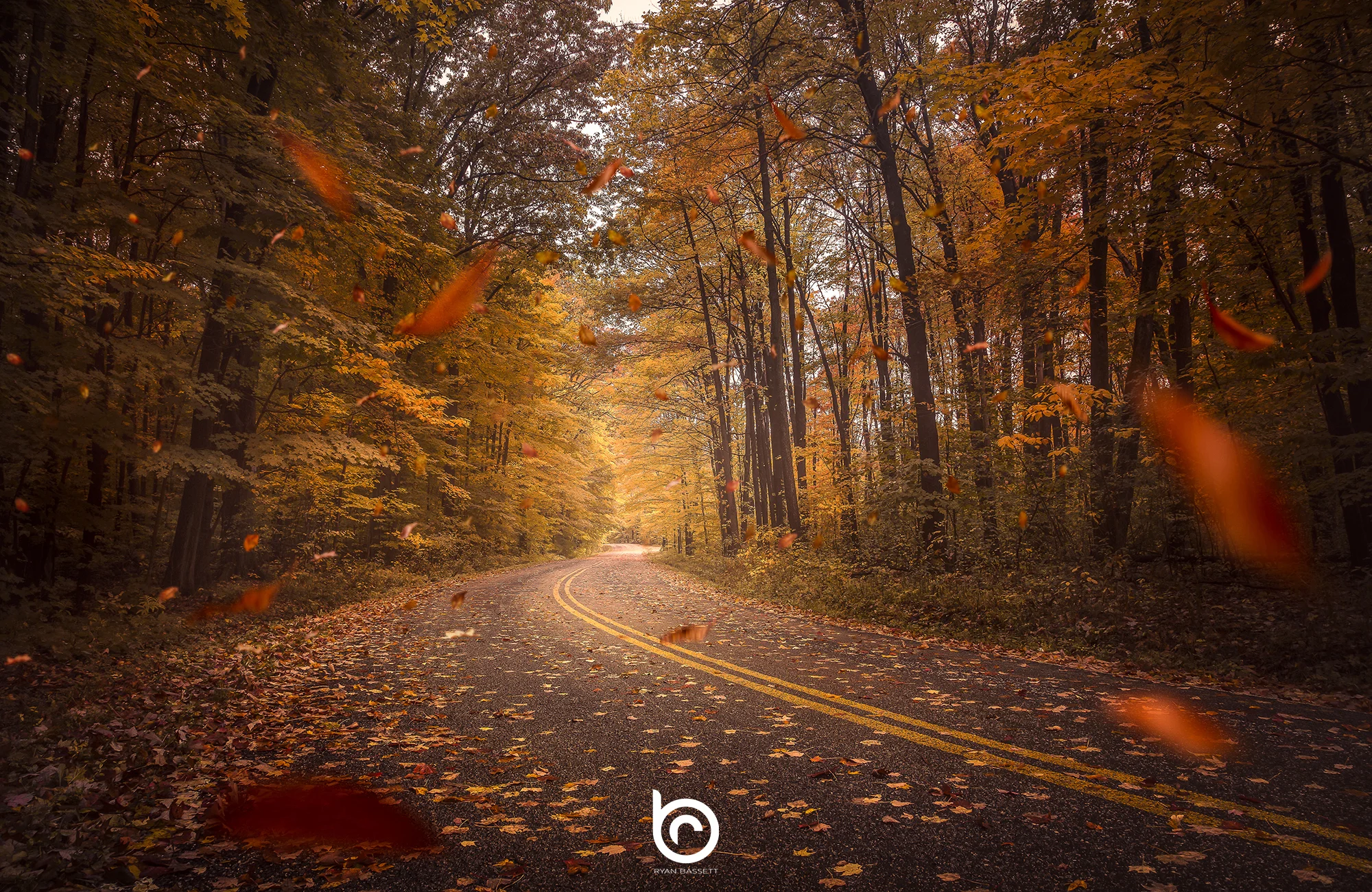 roadFULL (1 of 1).jpg