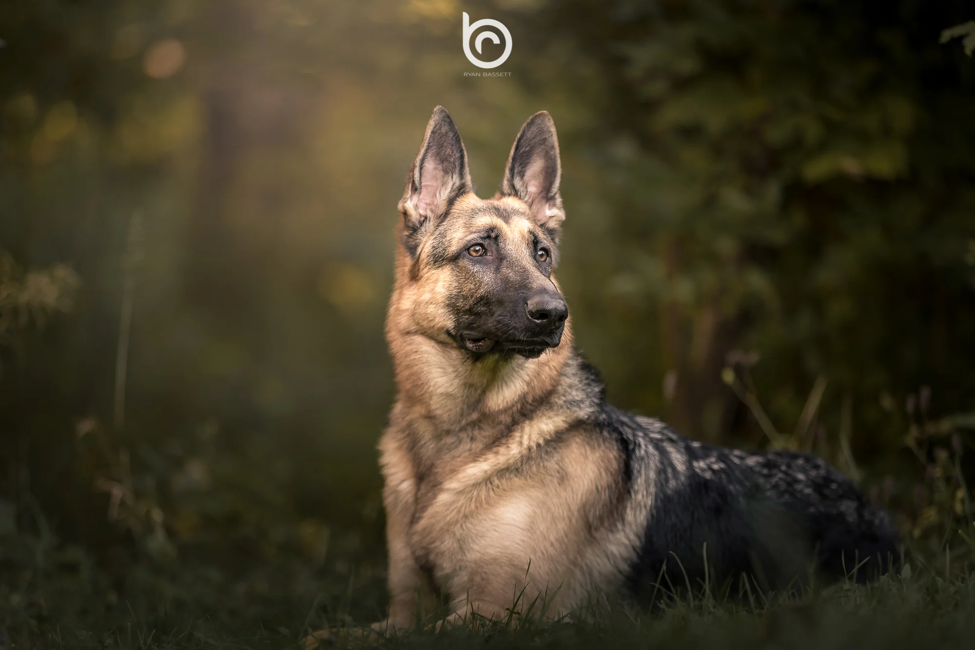 jaxx.jpg