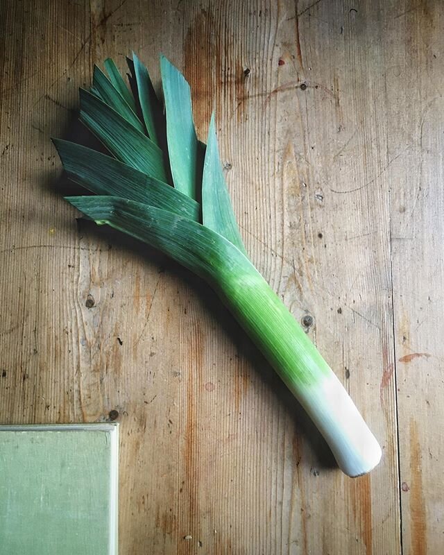 One glorious Moss Valley Market Garden leek. It&rsquo;s not been the best year for our leeks, a huge proportion have just not grown. But this one was a beauty 🤩