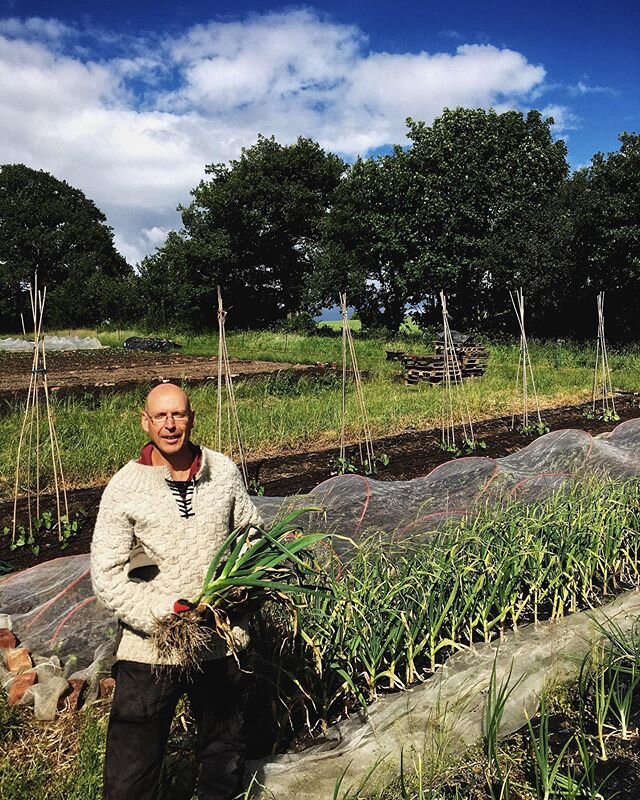 Our Martin showing off the first of this seasons garlic. We can&rsquo;t wait to get these in our customers bags next week!