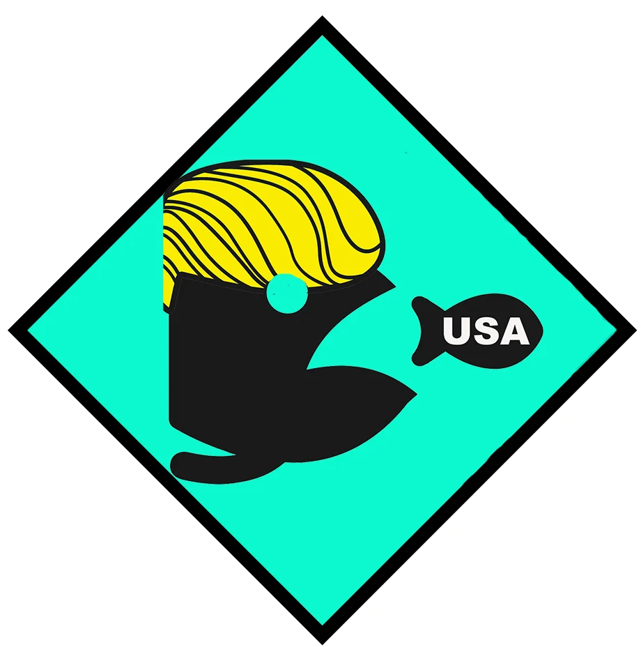 Nancy Pelosi for President 2019