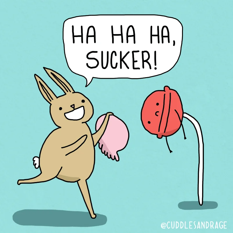 Bully Bunny
